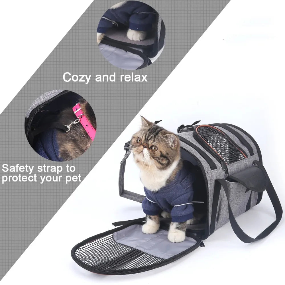 Transportín Plegable Multifuncional para Gatos — Cámara Abatible con Cojín